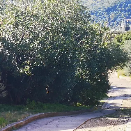 A 10 Chilometri Da E 2 Dalla Di Solanas *
